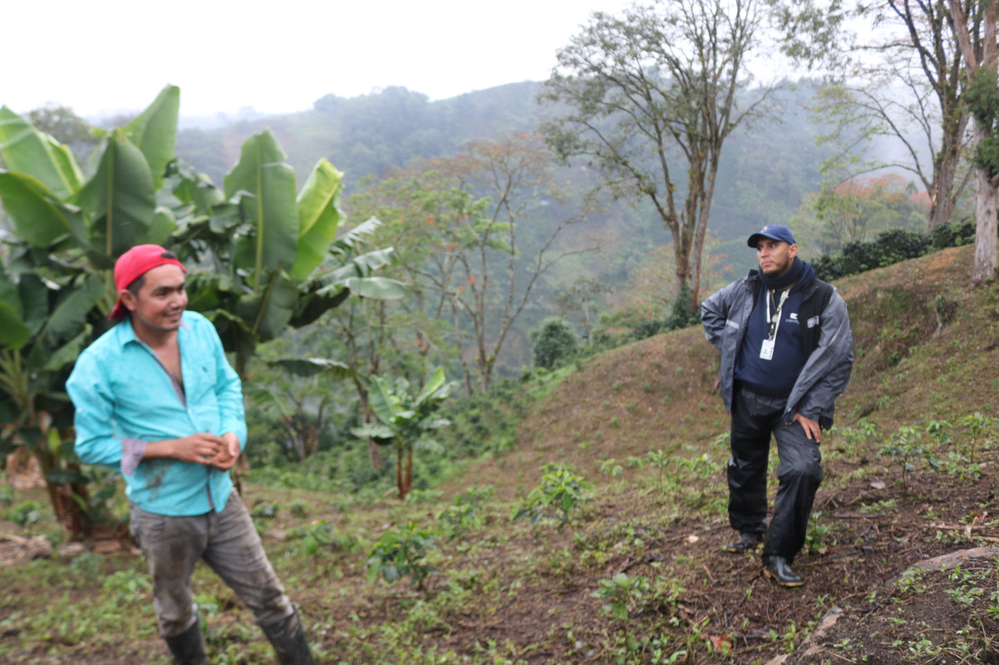 Colombia John Gely Ruano