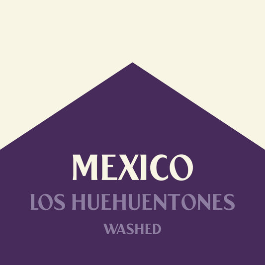 Mexico Los Huehuentones