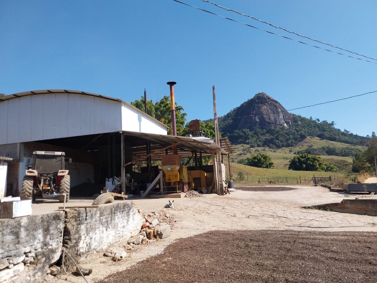 1kg Brazil - Bairro Dos Borges