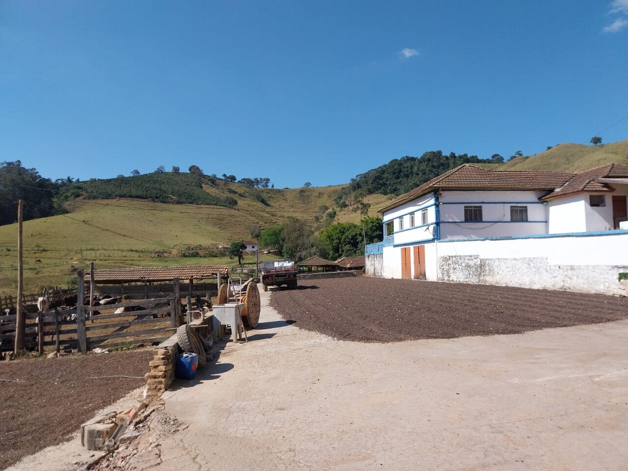 1kg Brazil - Bairro Dos Borges