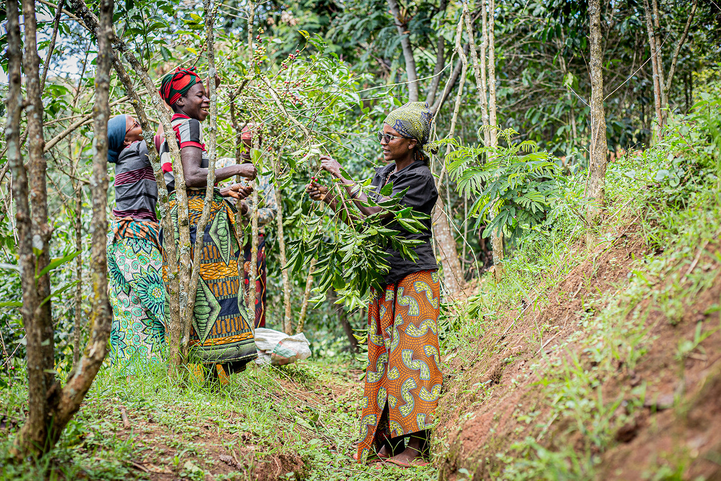 Burundi Masenga Hill