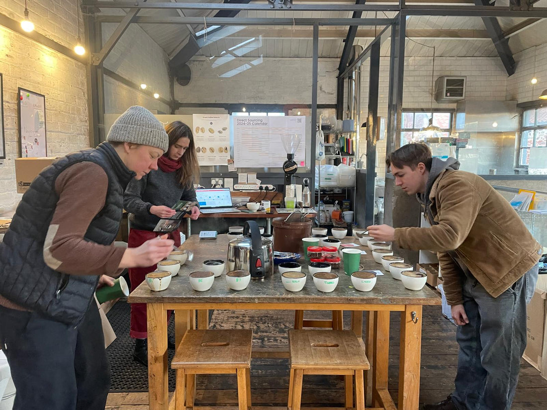 Importer Focus Series #7 // Rachel Beebe at Semilla Coffee