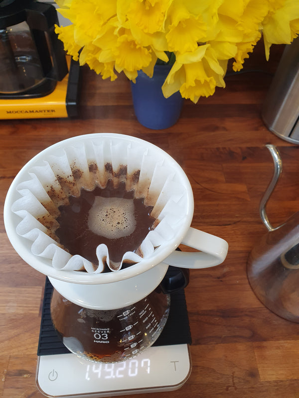 Pour-Over Brewing: Pulse and Continuous Pouring