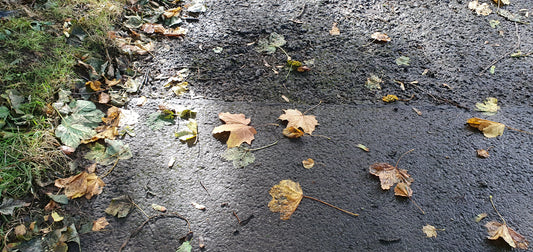 Will this now be the winter of our discontent?