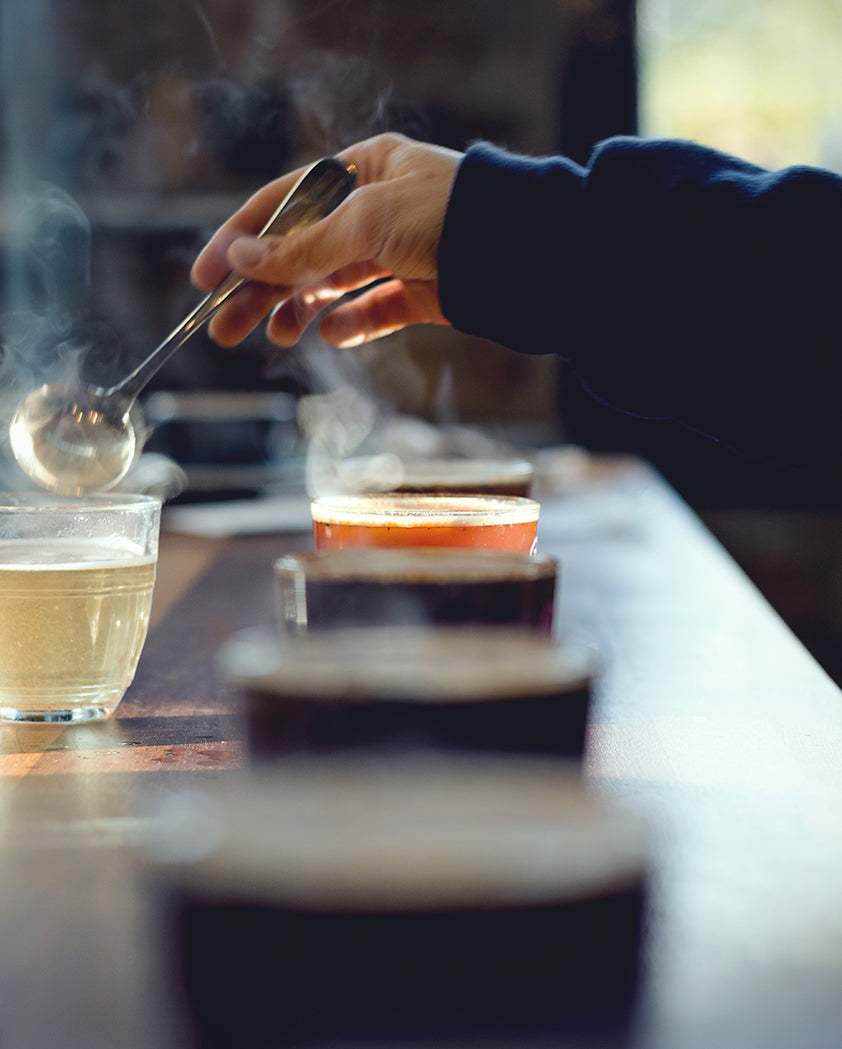 Why do a coffee cupping at home?