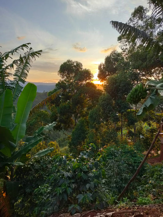 Life at Migoti Hill: Week 1