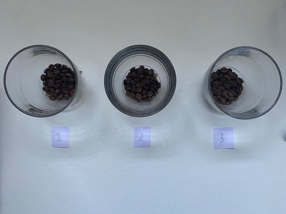 Lessons from a home coffee cupping