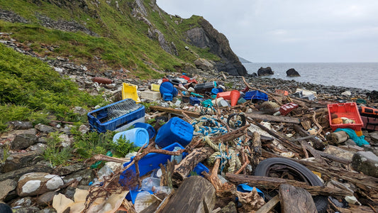 Marine Plastics Art Exhibition