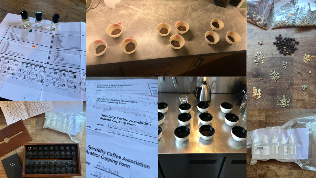 A collage of photos from Rachel's Q Grade experience. Olfactory and acid practice kits, triangulations, beans and cuppings