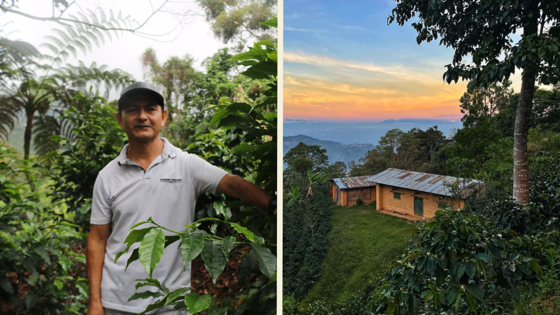 Discover Ethiopian Coffee Grown in South America