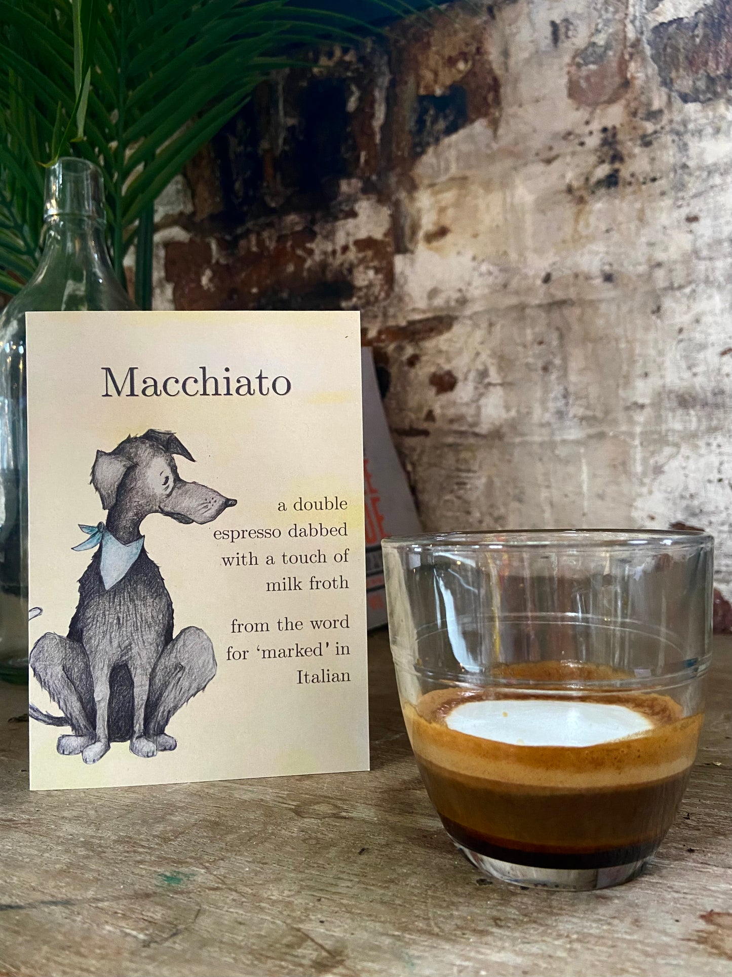 Coffee by Cats & Dogs Card