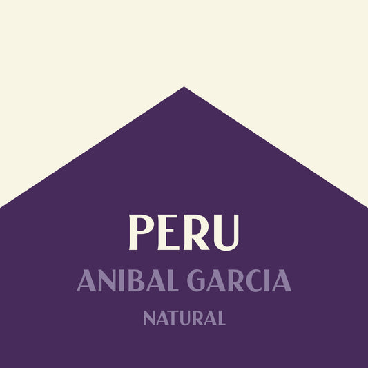 Peru Anibal Garcia