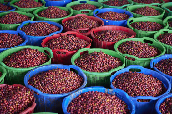 Indonesia - Sumatra Asman Gayo Mill