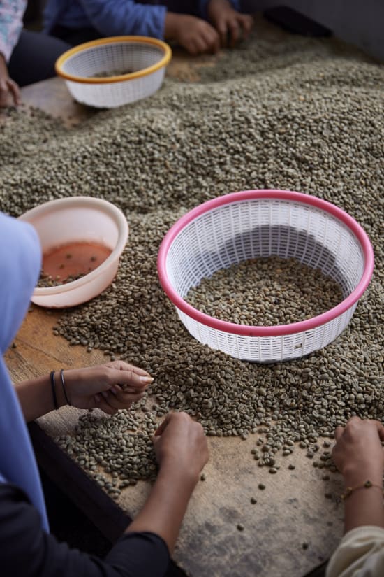Indonesia - Sumatra Asman Gayo Mill