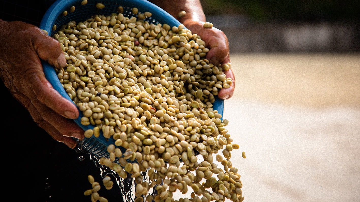 Guatemala Juan Rodriguez