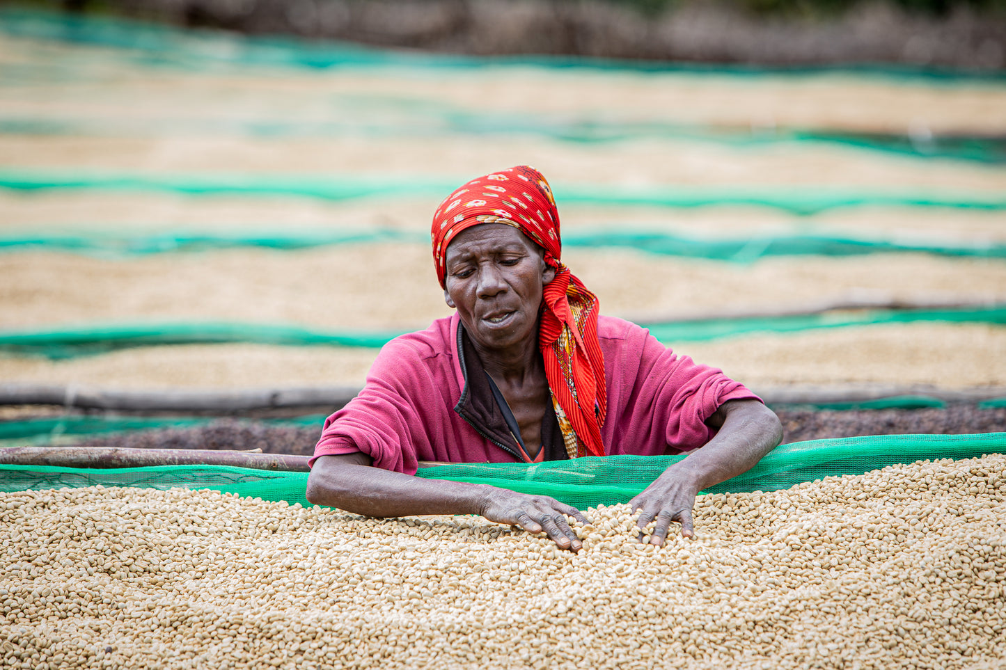 Burundi Migoti Hill
