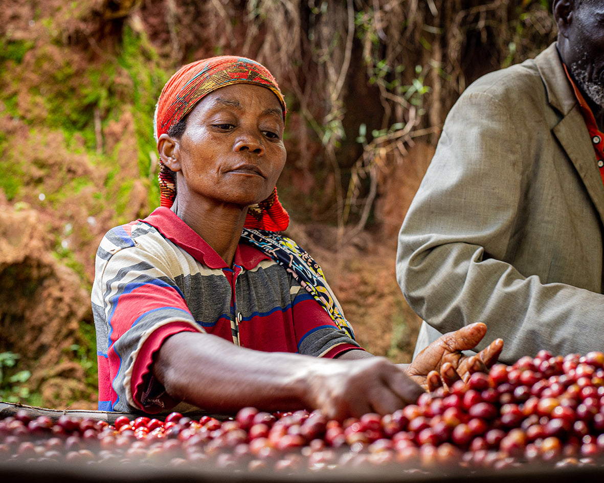 Burundi Migoti Hill