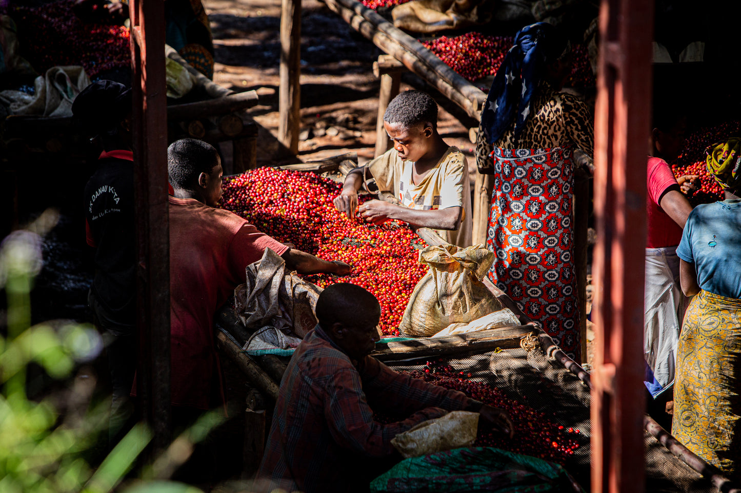 Burundi Migoti Hill