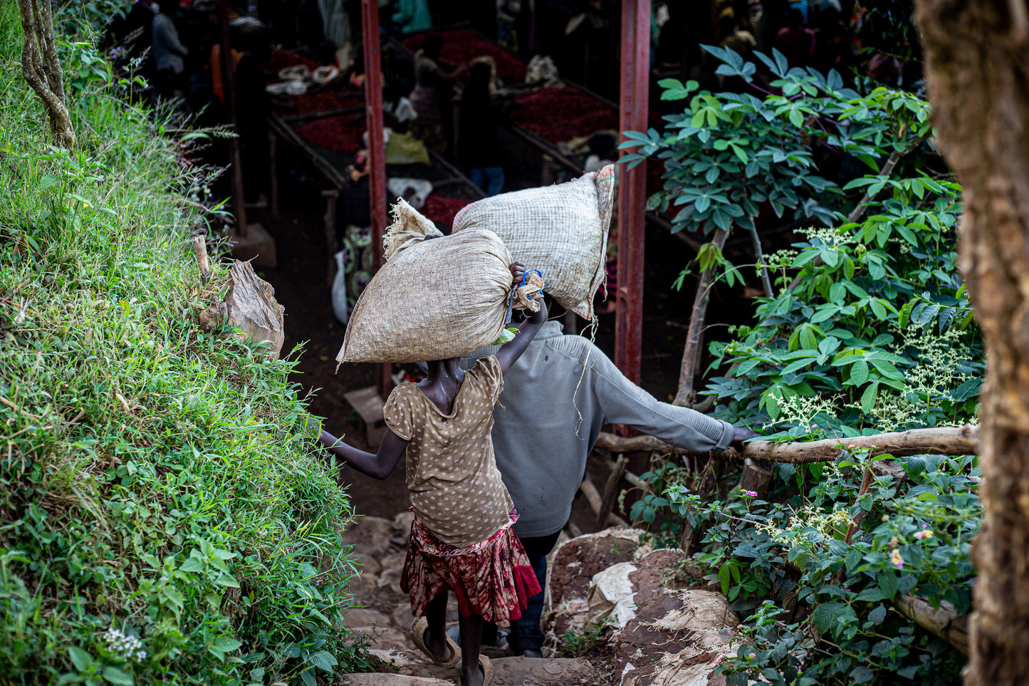 Burundi Migoti Hill