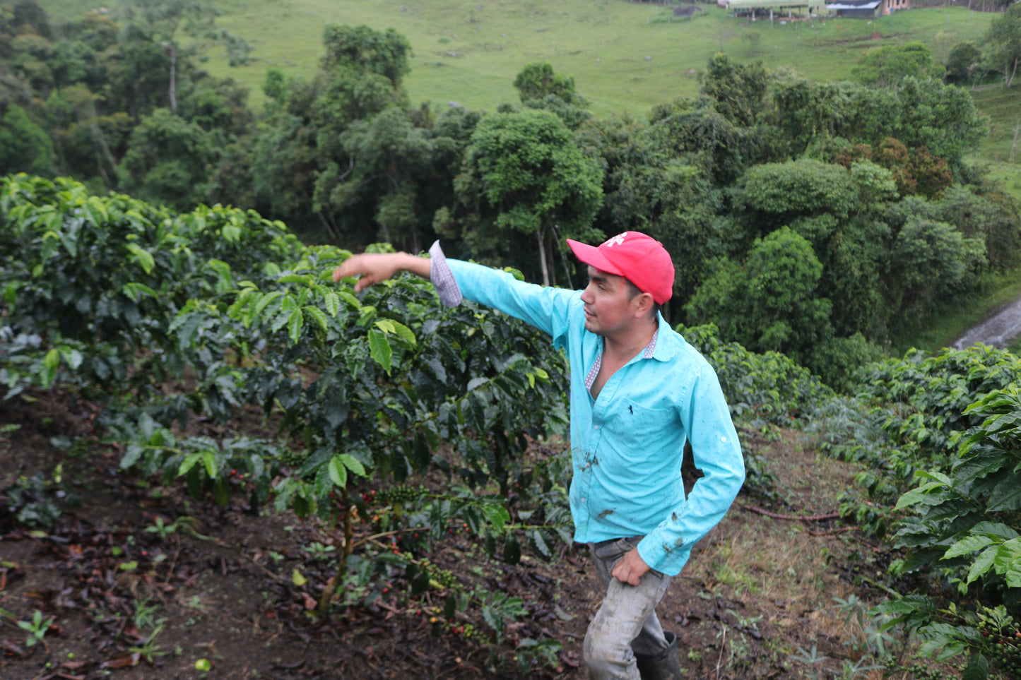 Colombia John Gely Ruano