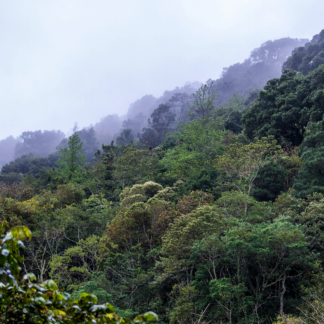 Nicaragua Los Nubarrones