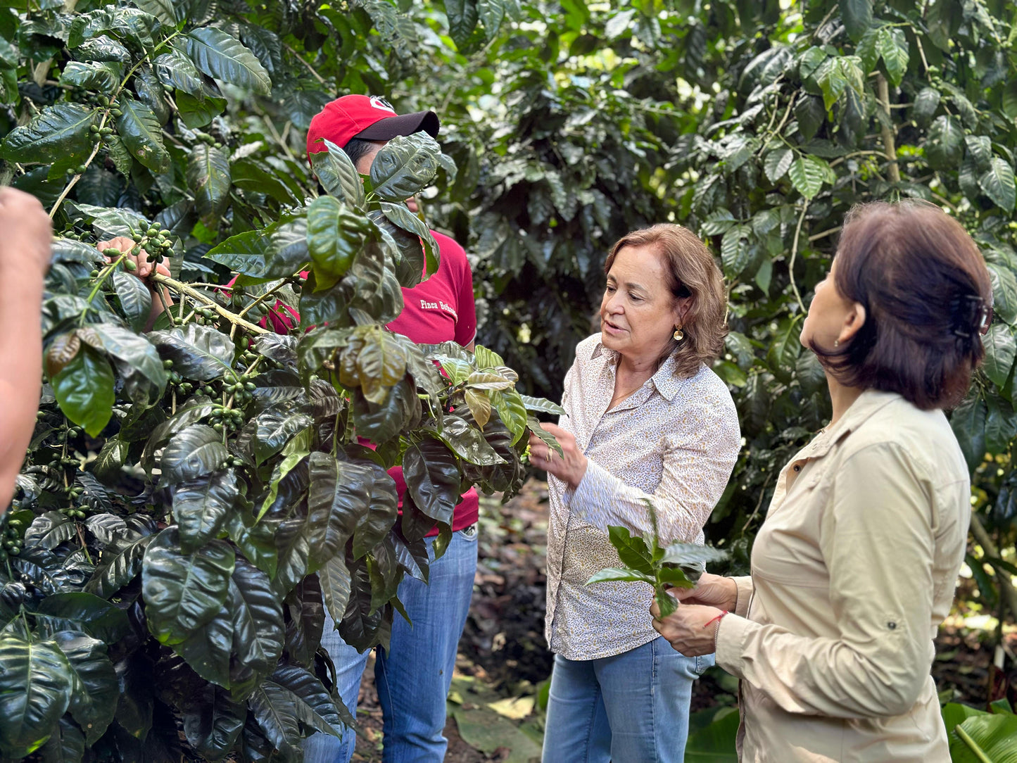 Christmas Coffee: Nicaragua Martha & Ana Albir