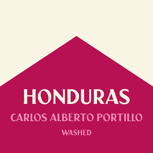 Honduras Carlos Alberto Portillo