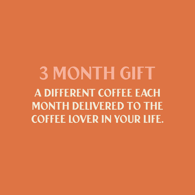 3-Month Gift Subscription