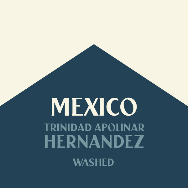 Mexico Trinidad Apolinar Hernandez