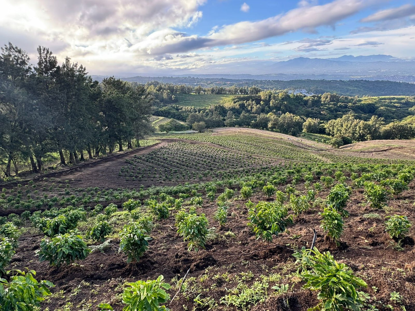 Costa Rica Hacienda La Luisa