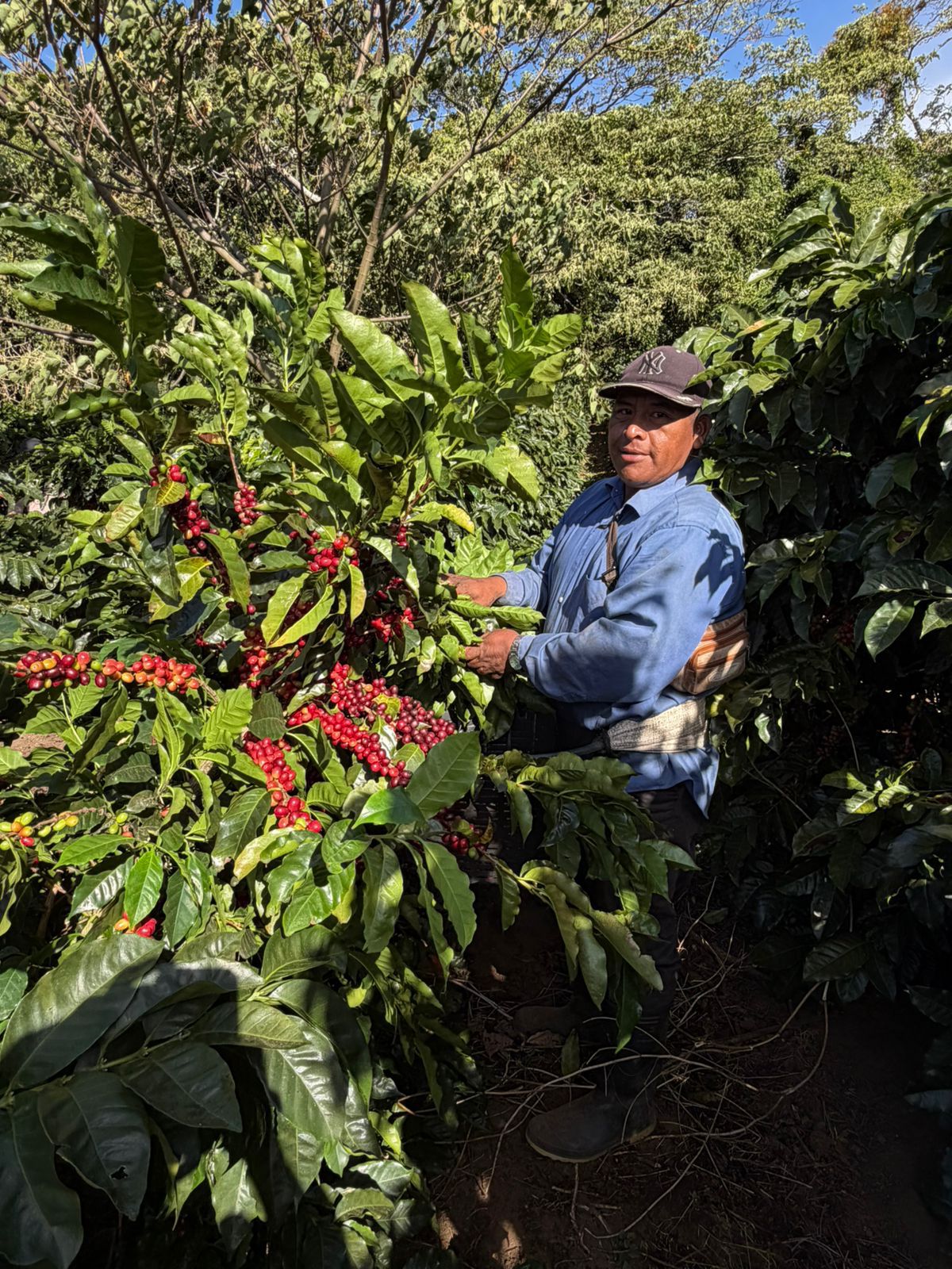 Costa Rica Hacienda La Luisa