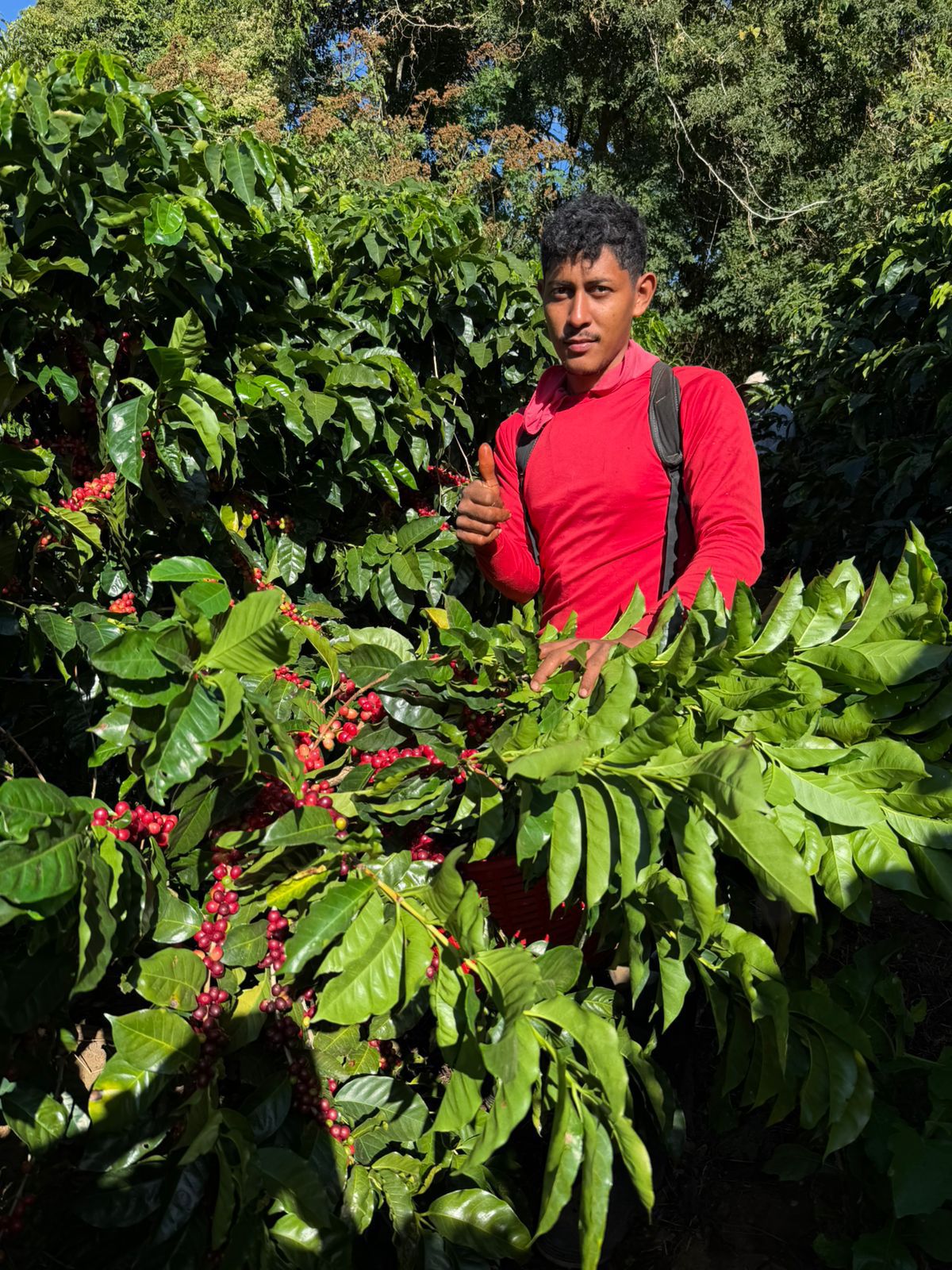 Costa Rica Hacienda La Luisa