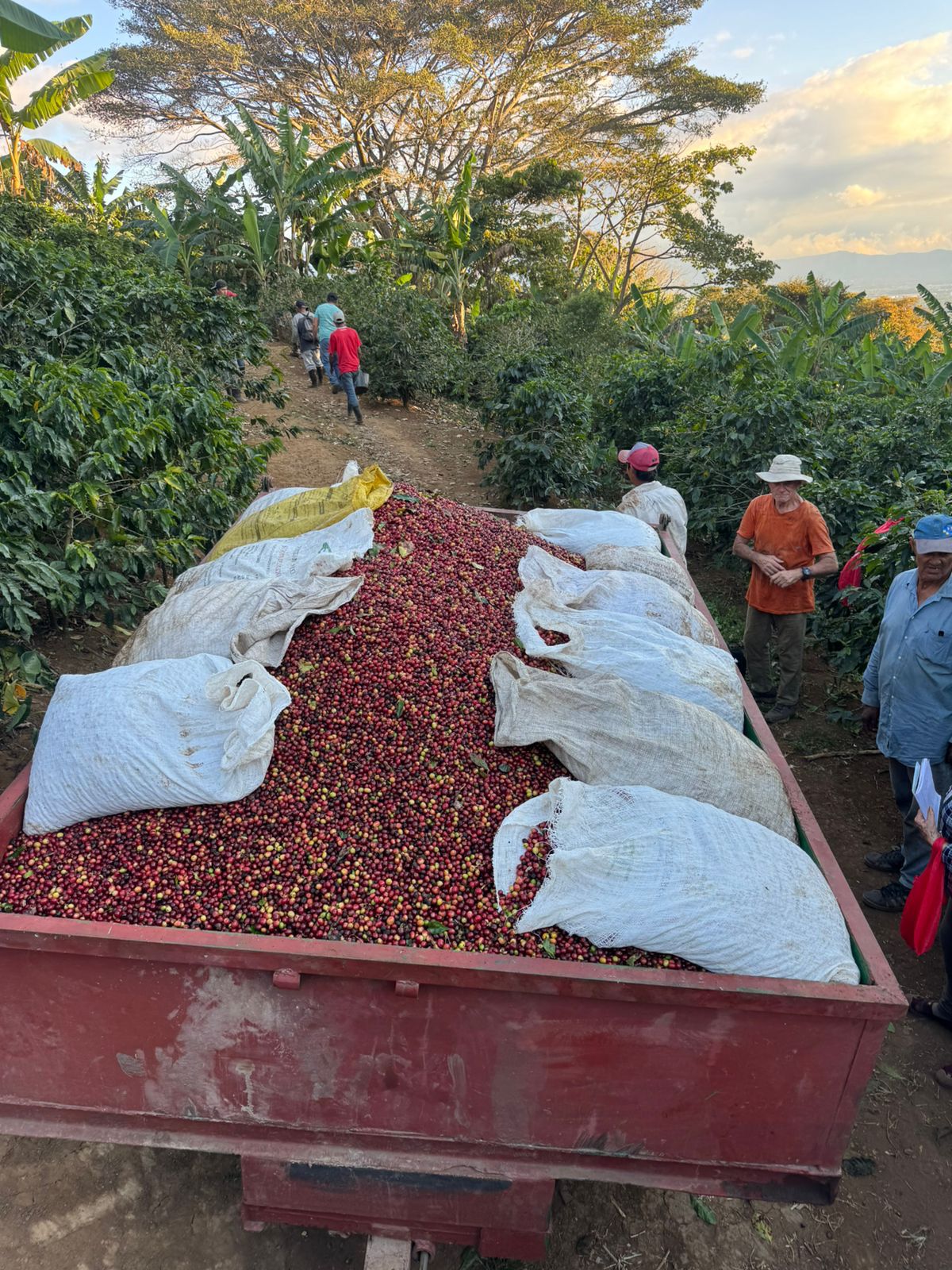 Costa Rica Finca El Refugio
