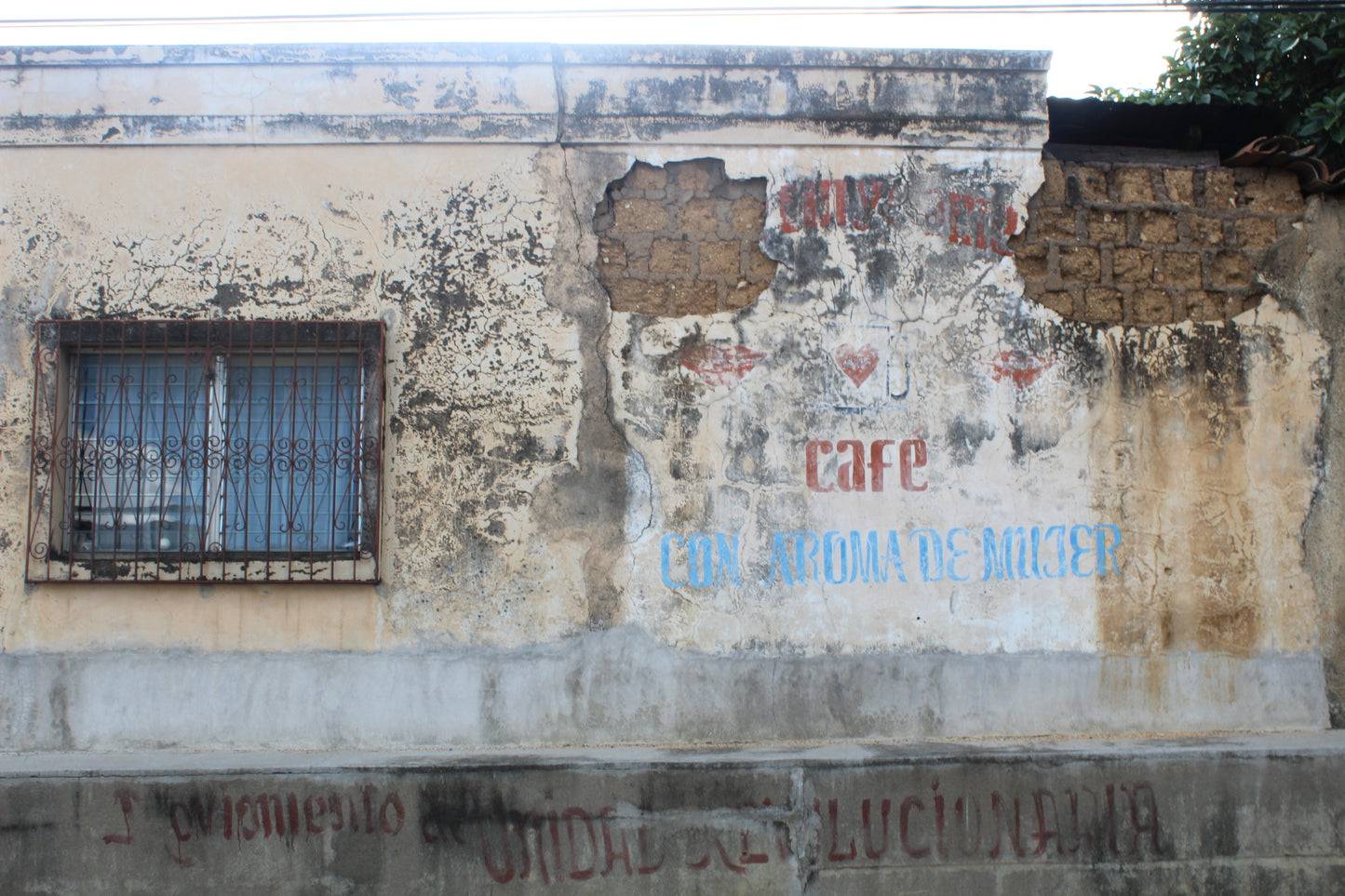 Christmas Coffee: Nicaragua Martha & Ana Albir