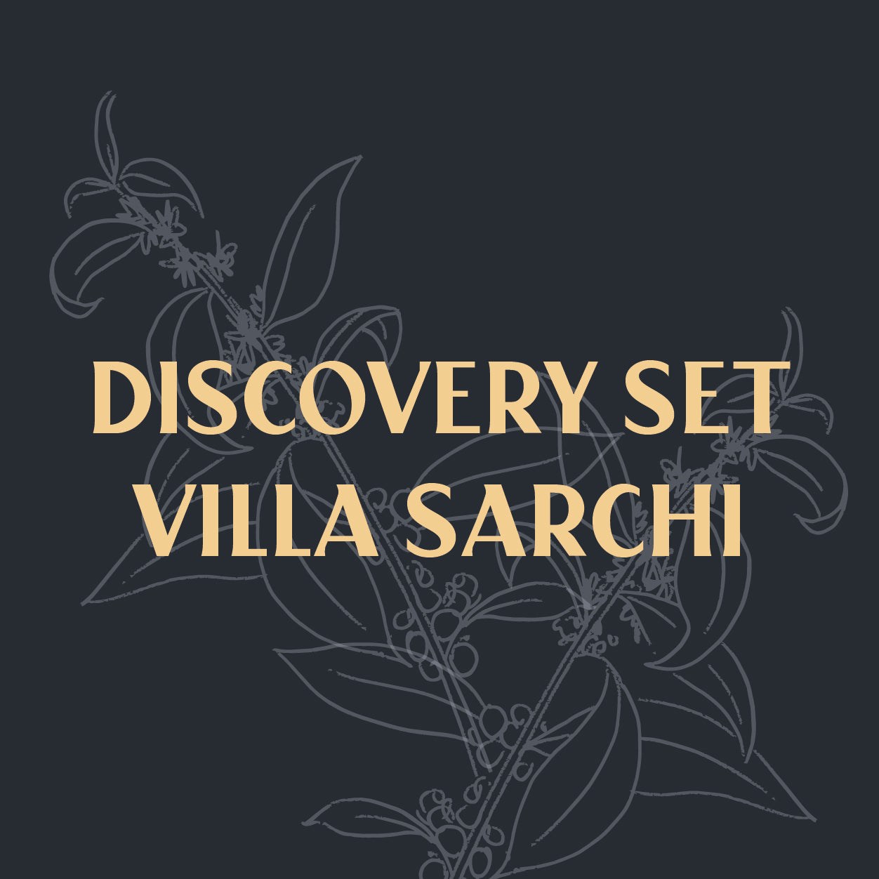 Discovery Set - Villa Sarchi