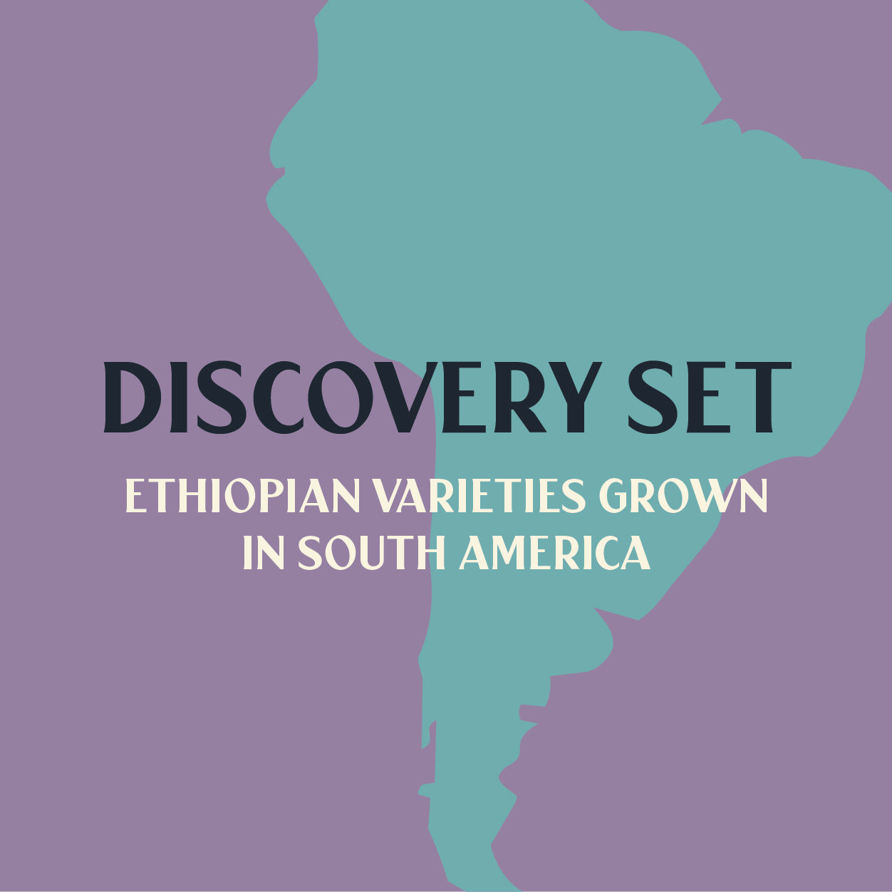 Discovery Set