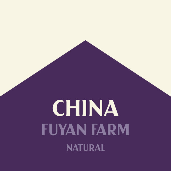 China Fuyan Farm Natural