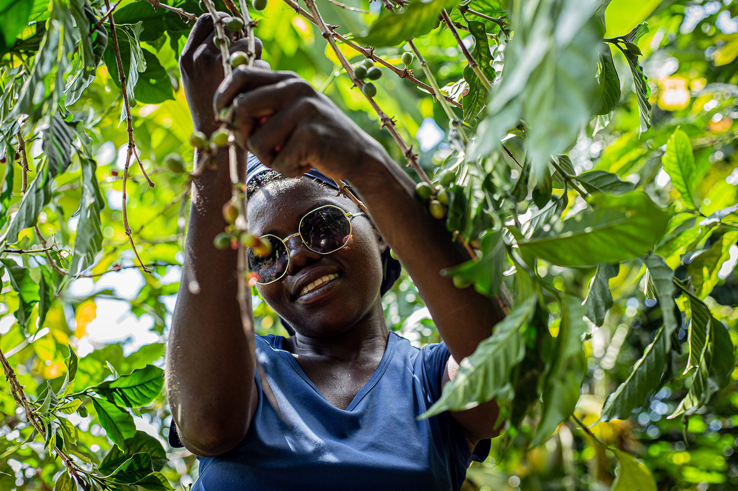 Burundi Masenga Hill
