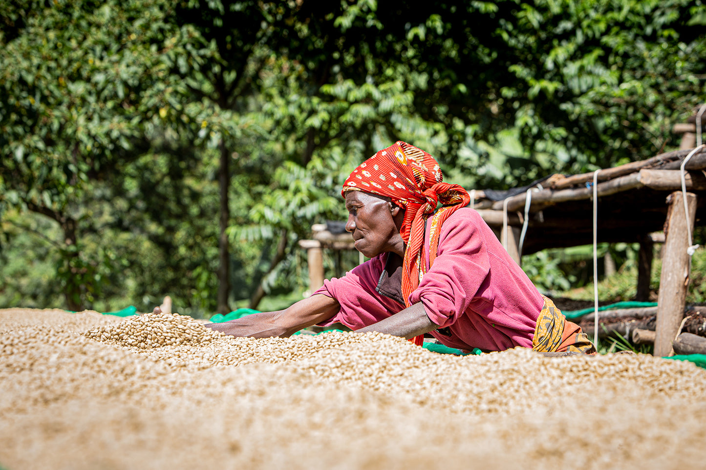 Burundi Masenga Hill