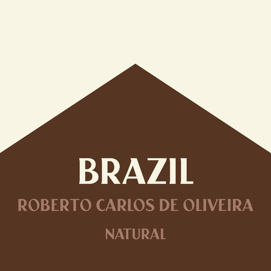Brazil Roberto Carlos de Oliveira