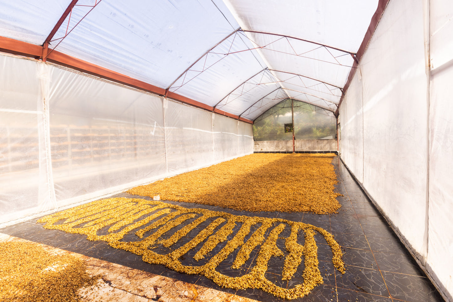 Costa Rica Aquiares Estate