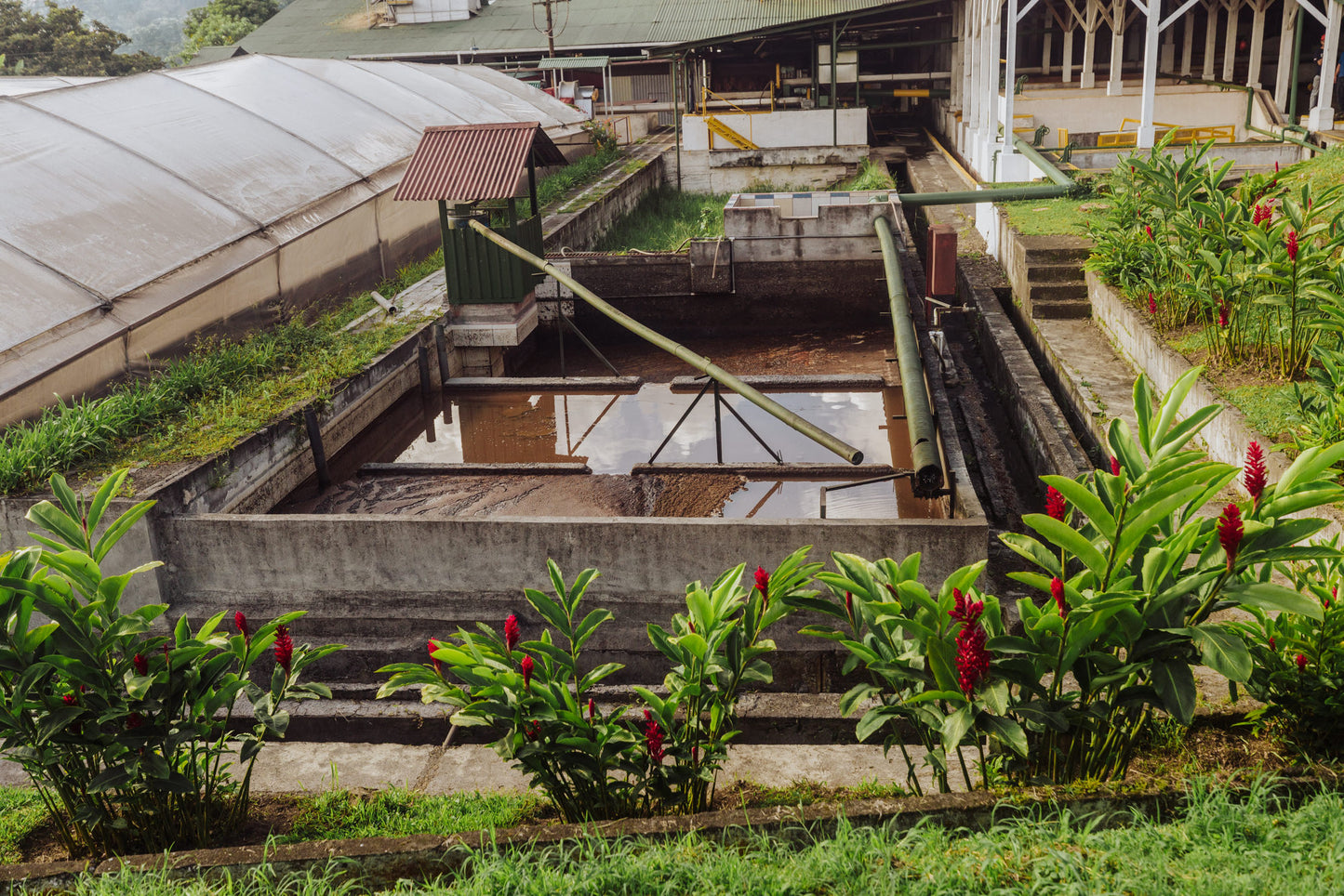 Costa Rica Aquiares Estate