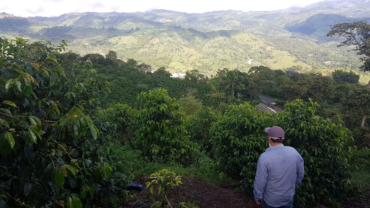 Ecuador Ricardo Vargas
